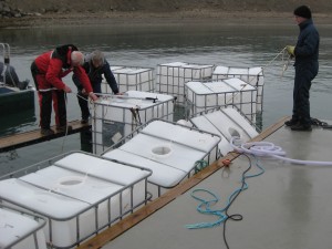 de bakken zaten vast aan vlonders in de haven